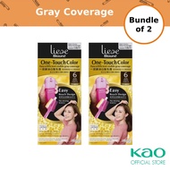 [Bundle of 2] Liese Blaune One Touch Color Dark Brown