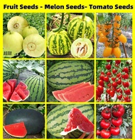 Buto Ng Gulay - Bonsai Seeds for Planting Vegetables Fruit Seeds for Planting Watermelon Seeds /Giant Tomato Seeds/Yellow Cherry Tomato Seed/Red Cherry Tomato Seeds /Black Diamond Watermelon Seeds/Big Muskmelon Seed /Plants for Sale /Plants Seeds for Pots