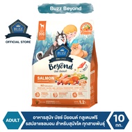 Buzz Beyond - อาหารสุนัข บัซซ์ บียอนด์ กลูเตนฟรี รสปลาแซลมอน สำหรับสุนัขโต ทุกสายพันธุ์ 10 kg
