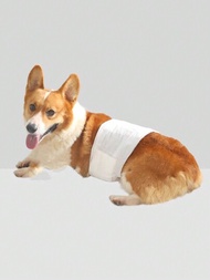 寵物狗尿布,公狗生理褲泰迪衛生巾安全內褲,幼犬尿布用品