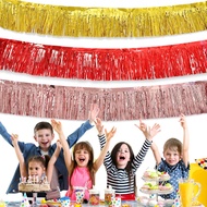 Langsir Foil Fringe Curtain Banner Backdrop 30x300 cm Rain Curtain Wall Decoration Photo Booth Backd