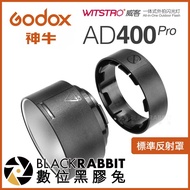 Digital Vinyl Rabbit [Godox Godox AD400Pro Standard Reflector R10]