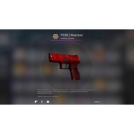 CSGO Skins | P250 | Muertos(Field-Tested) Instant Trade