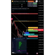 DS Liq BM Heatmap V12.8(upgraded)- Lifetime (Proven Winrate 100%)- Tradingview