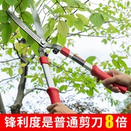 Flower Pruning Shears Gardening Scissors Hedge Shears Tools Lawn Trimming Pruning Shears Flower and 