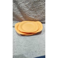Plate contains 4 tupperware dinner plates