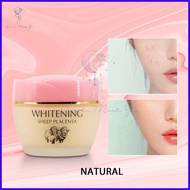 ◊ ☸ Andrea Secret Foundation Cream Sheep Placenta Whitening Beauty Make Up 78g AN023