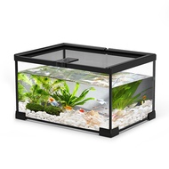 Climbing Pet Glass Rainforest Tank Fish Gecko Turtle Spider Landscaping Breeding Ornamental Tank