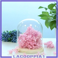 [Lacooppia1] Glass Display Cloche Wooden Base Centerpiece Table Decoration #A