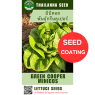 เมล็ดพันธุ์ผักสลัด มินิคอส พันธุ์กรีนคูเปอร์ ( ขนาด 0.5 กรัม ) ( เมล็ดเคลือบ ) รหัสสินค้า SSC 1035