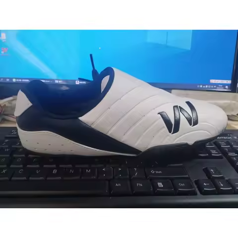 2026 Classic Brand Professional Martial Arts Training Shoe Top Quality Youth Taekwondo Shoe Designer