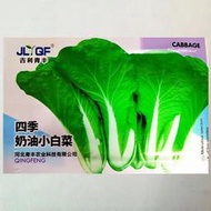 韓國進口四柱喜金白蘿蔔種子 種籽春秋大白蘿蔔種籽老不康蘿蔔蔬菜種子 種籽hn