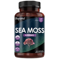 Irish Sea Moss 6000 mg High Strength - Irish Sea Moss Supplement 120 Capsules High Potency - Made in