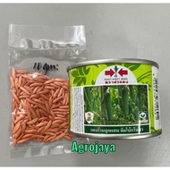 REPACKING 10GM JUMBO GREEN F1 Biji Benih Timun Batang Besar Cap Panah Merah Thailand