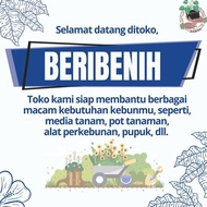 Cod Available Seedling Tray Pot Nkt Black Box Thick Material Seedling Pot Tray Seedling Tray Seedlin