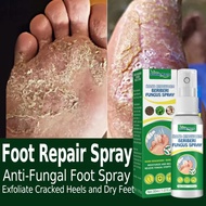 spray penghilang gatal - spray psoriasis - cepat mengatasi gatal - eksim - infeksi kulit - biduran
