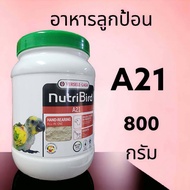 NutriBird A21 อาหารลูกป้อน สำหรับลูกนกทุกสายพันธุ์ 800g