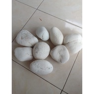 PUTIH Super jumbo white coral stone/coral stone/coral gravel stone/aquarium decorative stone