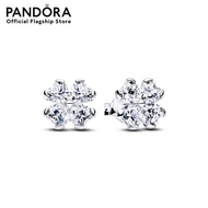 Pandora Sparkling Lucky Clover Stud Earrings