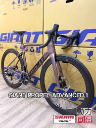 全新 GIANT Propel Advanced 1 DISC 單車 無線電件 空力 公路車 road bike AEROBIKE (not bmc conlogo) SRAM rival eTap AXS