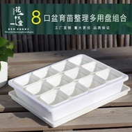 8-Caliber Succulent Plastic Square Basin Storage Basket Water Pan Balcony Greenhouse Flower and Vegetable Seedling Planting Cutting Plate