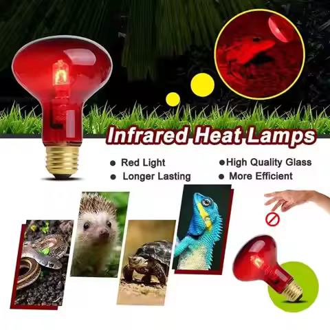 Pet Red Heating Lamp E27 Day Night For Amphibian Snake Lamp Heat Reptile Bulb UV Light 25/50/75/60/4