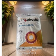 singa kuda 12,12,17,2,+8s+TE