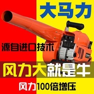 Leaf Blower Electric Air Blower Outdoor Power Tool Electric Blower Dust Extractors Honda Portable Hi