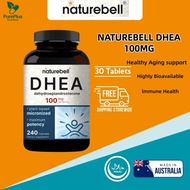 NatureBell DHEA 100mg - 240 Capsules - DHEA Supplement for Energy Levels, Immune Health & Healthy Ag
