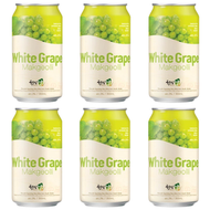 麴醇堂 - 韓國麴醇堂有氣米酒 (馬格利) 白葡萄味 350mL (3% Alc./Vol) X 6