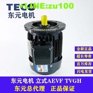 TECO東元電機0.37 0.75 1.5KW AEVF AEMV剎車制動馬達電動機立式