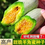 Genuine Claw Honey Seed Melon Crisp Melon Seed Seed Seed Seed Vegetable Seed Crispy High-Produced Me