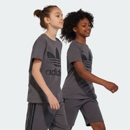 adidas Lifestyle Trefoil Unisex Tee - Grey IJ7178