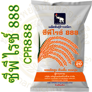 เมล็ดพันธุ์ ข้าวเหนียวหอม ซีพีไรซ์ 888 บรรจุ 20 กก. ( CP888 )