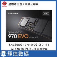 SAMSUNG SSD 1TB 970 EVO【MZ-V7E1T0BW】M.2 PCIe 3.0 NVMe 固態硬碟
