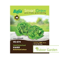 [READY STOCK] BABA Butterhead Lettuce Seeds VE-074 奶油萵苣 09/2023 Smart Garden Aeroponics Hydroponics 