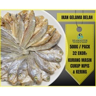 【500Gram±】 IKAN GELAMA BELAH KURANG MASIN - CUKUP NIPIS & KERING