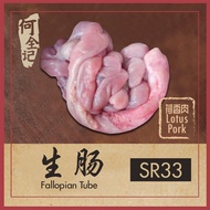 生肠 Fallopian Tube 500g