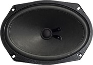 Magnadyne LS69W 6" x 9" High Power Subwoofer