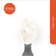 Frozen Yogurt (400ml Tub)