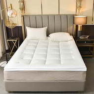 Hotel Star Tilam Lembut Bulu Tebal Baldu Tatami Tilam Homestay Tilam Rumah Tilam Asrama