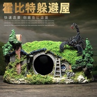 Fish Tank Large Reptile Landscaping Dodge Hole Gecko Spider Box Lizard Hermit Crab Reptile Box Hobbi
