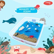 Ocean SENSORY Box SET - Without Discount Box