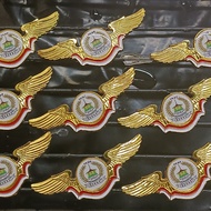 New Wing Pin With Logo Custom Resin Logo Pin Brass Pin