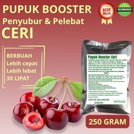 Pupuk Booster Ceri / Obat Booster Buah Ceri / Pupuk Booster Buah Ceri / Pupuk Buah Ceri