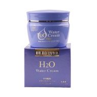 Hokkaido Medicated H2O Water Cream 北海道 出水霜 Q10 150g(ready stock)