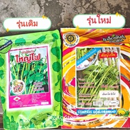 เมล็ดพันธุ์ผักบุ้งแก้ว ผักบุ้งเย็นตาโฟ ล้อตใหม่ตราสี่ทิศ(ซองสีส้ม)  1กก.ผักบุ้งนา ผักบุ้งเลื้อยพันธุ