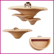 Jumping Spider Toy Magnetic Natural Mushroom Toy with Water Bowl Jumping Spider Hiding Place for Wal