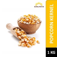 MUSHROOM POPCORN KERNEL SEEDS | POPPING CORN | JAGUNG POPCORN | 爆米花玉米粒 1KG