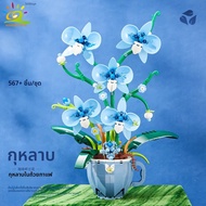 HUIQIBAO ดอกไม้กล้วยไม้ถ้วยกาแฟ Potted Building Blocks 3D Bouquet MOC อิฐก่อสร้างของเล่น DIY หน้าแรก